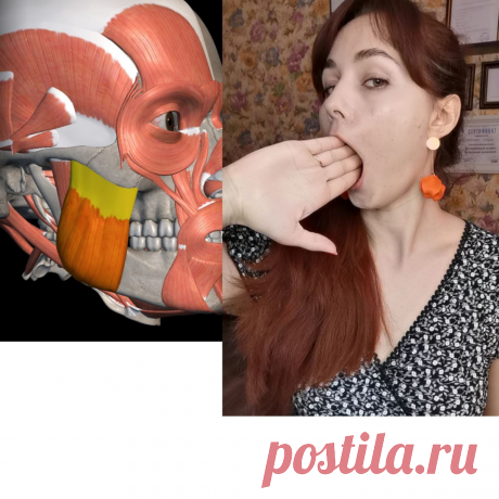 Как проверить, есть ли спазм в жевательных мышцах — простой прием. Показываю на видео | Молодость без уколов | Яндекс Дзен