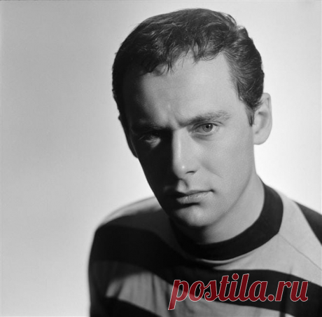 Морис Роне