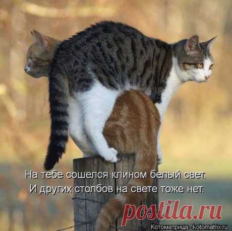 АНЕКДОТЫ … ツ☞ ПРАВИЛЬНЫЕ (ړײ)
Наталья Пенькова (Миляхина)