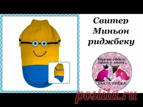 Свитер Миньон для риджбека