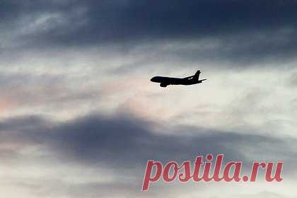 Россиянин устроил дебош на борту самолета и попытался выпрыгнуть из-за галлюцинаций