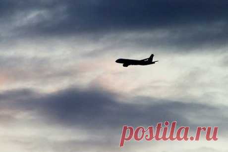 Россиянин устроил дебош на борту самолета и попытался выпрыгнуть из-за галлюцинаций