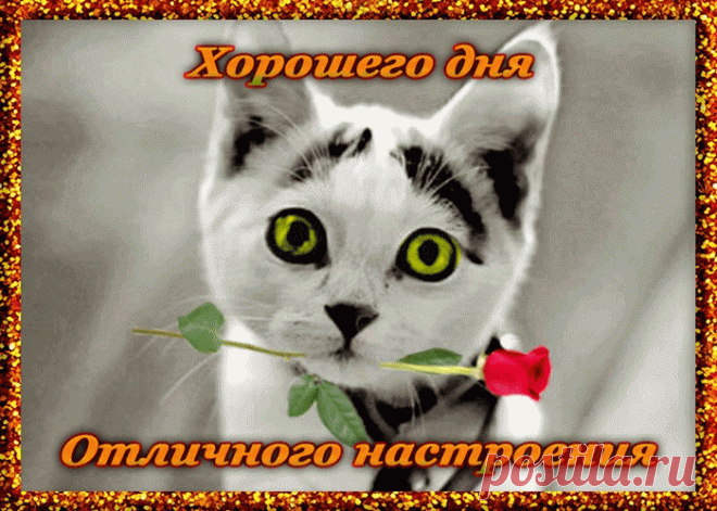 Картинки и открытки хорошего дня | Открытки бесплатно