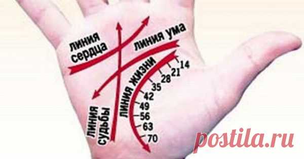Научись гадать по руке самостоятельно! Цыганка не понадобится…