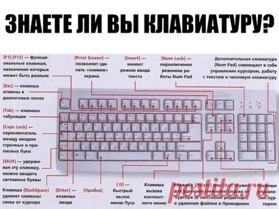 ЗНАЕТЕ ЛИ ВЫ КЛАВИАТУРУ НА СВОЁМ КОМПЬЮТЕРЕ?
F1— вызывает «справку» Windows или окно помощи активной программы. В Microsoft Word комбинация клавиш Shift+F1 показывает форматирование текста;
F2— переименовывает выделенный объект на рабочем столе или в окне проводника;
F3— открывает окно поиска файла или папки на рабочем столе и в проводнике. Комбинация клавиш Shift+F3 часто используется для поиска в обратном направлении;
F4— открывает выпадающий список, например, список строки адреса в окне ‘