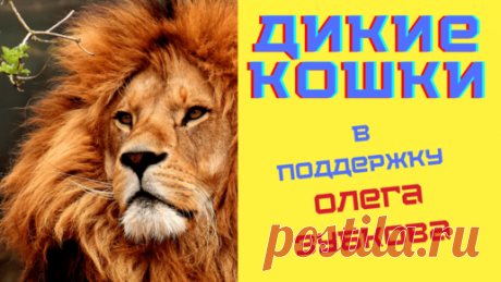 👍❤ Пожалуйста поддержите авторов канала Дом тестов подпиской, лайком, комментарием и репостом! Это очень важно, так как Яндекс.Дзен платит только за…