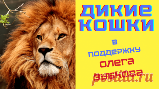 👍❤ Пожалуйста поддержите авторов канала Дом тестов подпиской, лайком, комментарием и репостом! Это очень важно, так как Яндекс.Дзен платит только за…