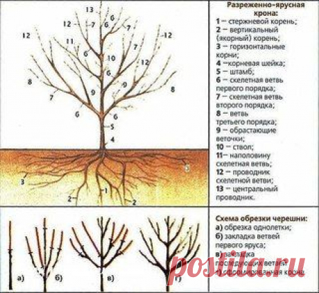 ➡ Моя Уютная Дача, сад и огород ✔ Подпишись