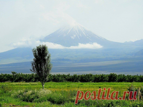 ԱՐԱՐԱՏԸ՝ՁՅՈՒՆԸ ՎՐԱՆ Երբ գնացքը Արարատյան դաշտ մտավ,առավոտ էր։Պատուհանեն Արարատը տեսա`ձյունը վրան: Շատ պատվական տեսարան էր:Դուք ամեն օր կնայիք Արարատին:Ես Արարատը շատ կը սիրեմ: Թագավորի պալատին առջև կկանգնի երիտասարդ մը և սազ կը չալե, կչալե ցերեկ ու գիշեր,կչալե մեկ շաբաթ,երկու շաբաթ,մեկ ամիս...Հագուստները վար կթափին, ինքը կմազոտի,կնիհարնա,բայց կշարունակե ցերեկ–գիշեր չալել։ Վերջը թագավոր դուրս կուգա,կըսե. -Օղուլ,կտեսնես,որ աղջիկս քեզի չի սիրեր, անօգուտ գործ ես բռներ,ինչու՞ զուր կտանջես քեզի,գնա