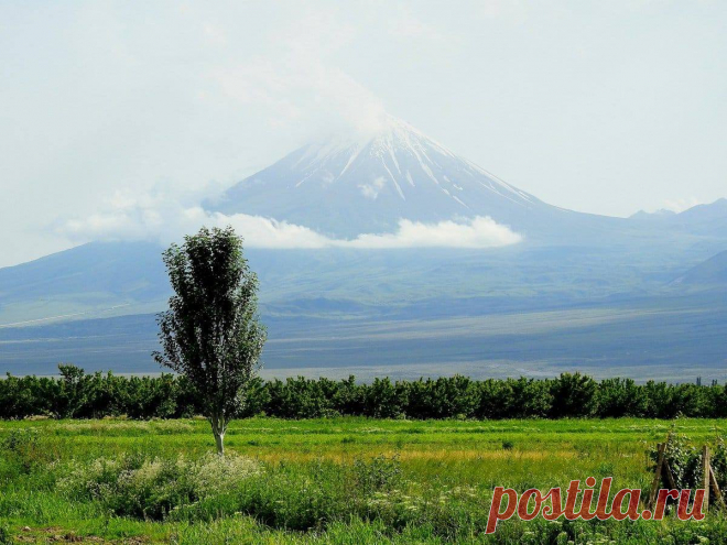 ԱՐԱՐԱՏԸ՝ՁՅՈՒՆԸ ՎՐԱՆ Երբ գնացքը Արարատյան դաշտ մտավ,առավոտ էր։Պատուհանեն Արարատը տեսա`ձյունը վրան: Շատ պատվական տեսարան էր:Դուք ամեն օր կնայիք Արարատին:Ես Արարատը շատ կը սիրեմ: Թագավորի պալատին առջև կկանգնի երիտասարդ մը և սազ կը չալե, կչալե ցերեկ ու գիշեր,կչալե մեկ շաբաթ,երկու շաբաթ,մեկ ամիս...Հագուստները վար կթափին, ինքը կմազոտի,կնիհարնա,բայց կշարունակե ցերեկ–գիշեր չալել։ Վերջը թագավոր դուրս կուգա,կըսե. -Օղուլ,կտեսնես,որ աղջիկս քեզի չի սիրեր, անօգուտ գործ ես բռներ,ինչու՞ զուր կտանջես քեզի,գնա