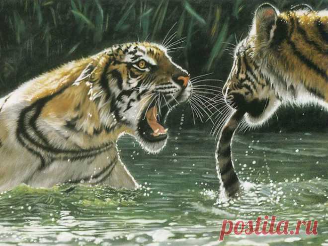 Художник Lesley Harrison.