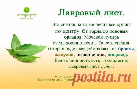 Лавровый лист