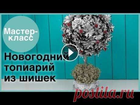 Новогодний топиарий из шишек. Мастер-классы на Подарки.ру Простая новогодняя поделка – топиарий из сосновых шишек. Как сделать подробно рассказываем в статье с фото и описанием Что понадобится: сухие сосновые...