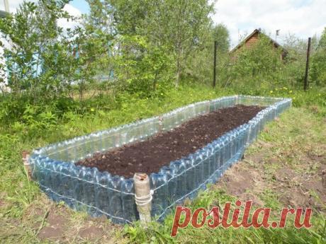 Необычное применение пластиковых бутылок на даче. | мастер на все руки | Яндекс Дзен