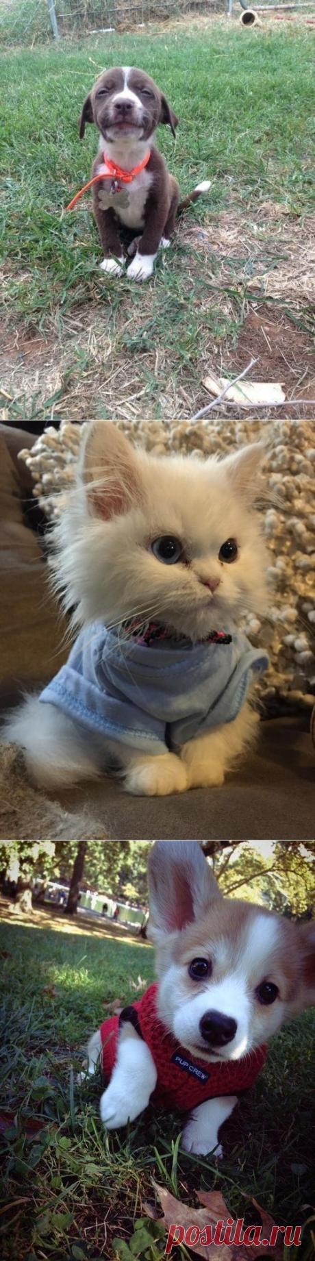 The 37 Cutest Baby Animal Photos. Prepare for an overload of cute! | Shining world