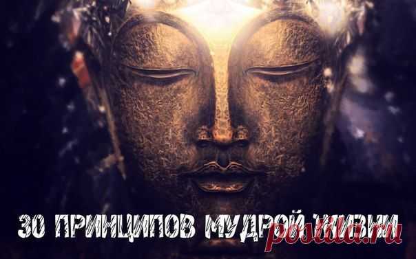 30 принципов му / Понимание бизнеса