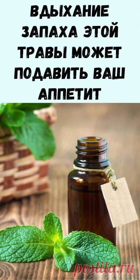 Протестировано и проверено: вдыхание запаха этой травы может подавить ваш аппетит - Интересный блог