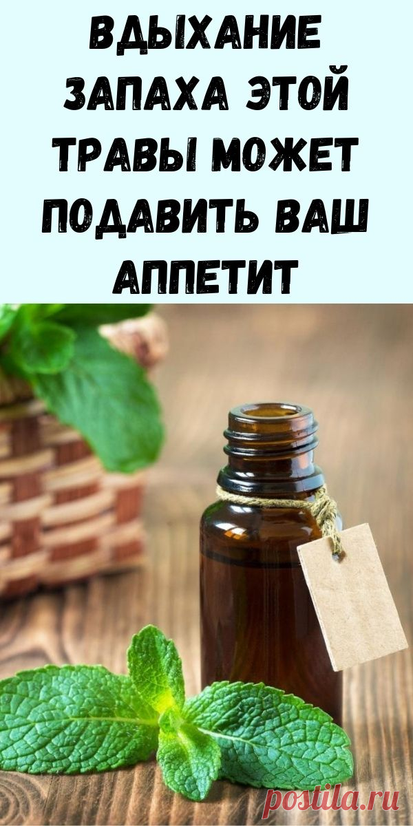 Протестировано и проверено: вдыхание запаха этой травы может подавить ваш аппетит - Интересный блог