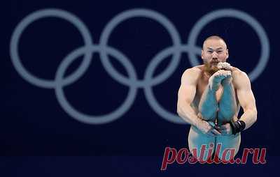 Россиянин Кузнецов стал пятым на Олимпиаде в прыжках в воду с трехметрового трамплина. Первое место занял представитель Китая Се Сыи Бронзовым призером стал спортсмен из Великобритании Джек Ло.