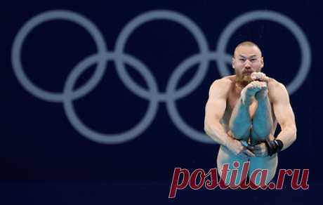 Россиянин Кузнецов стал пятым на Олимпиаде в прыжках в воду с трехметрового трамплина. Первое место занял представитель Китая Се Сыи Бронзовым призером стал спортсмен из Великобритании Джек Ло.