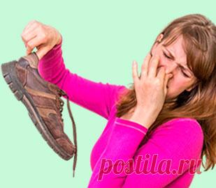 Потные ноги: что делать.
Потливость, особенно в жару, проблема, которая знакома многим. Впрочем, одно дело, когда потеет тело, а вот когда потные ноги, да еще, казалось бы, без видимых причин, тут приятного мало.
Интересно, что мужчины страдают от такой проблемы значительно чаще, чем женщины. Но что делать с вонючими ногами и как избавиться от потных ног?