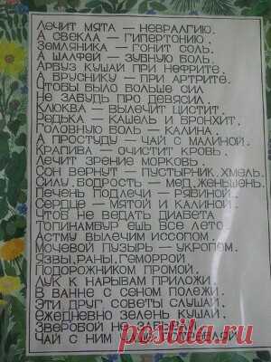 Фотографии Женский дневник - Мой Мир@Mail.ru