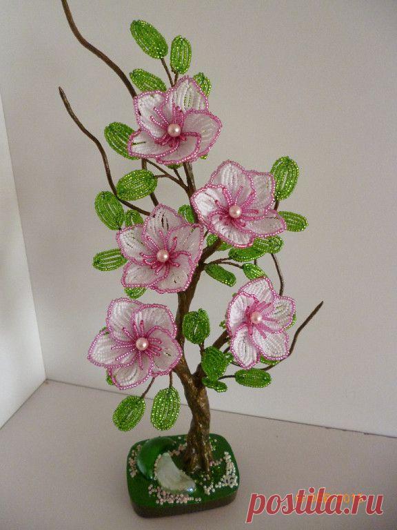 Нина Моисеева (Грушевская)
59 лет, Россия, Ульяновск, Старомайнский район