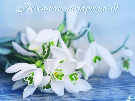 Мой Мир@Mail.Ru