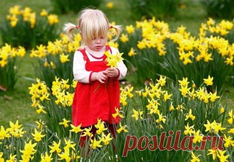 ЛУЧШИЕ ЗАГАДКИ О ВЕСНЕ