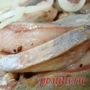 МАЛОСОЛЬНАЯ СЕЛЬДЬ ЗА 1 ЧАС - МирТесен