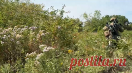 «Сжигаем и пробиваем противника»: работа спецподразделений военной разведки в зоне СВО. Военкор RT Саргон Хадая побывал на Покровском направлении, где увидел работу спецподразделений военной разведки. Бойцы рассказали, что в их задачи входит установка засад на ВСУ и их натовскую технику. Добытые в бою трофеи используются в боях против украинской армии и облегчают доставку боекомплекта на линию фронта. Также российские военные сообщают о боях с наёмниками, упоминая о сдаче в плен и бегстве…