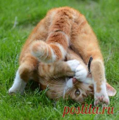 Интересные новости