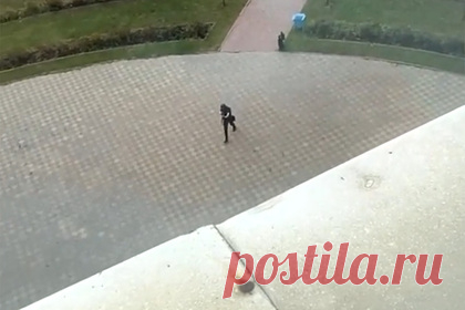 Пермский Минздрав назвал число пострадавших при стрельбе в университете. Свыше десяти человек пострадали в результате стрельбы в университете в Перми. Об этом сообщили в региональном Минздраве. В ведомстве рассказали, что в настоящее время на месте происшествия работают девять бригад скорой помощи. Ранения, по информации министерства, разные, так как ребята выпрыгивали из окон тоже.