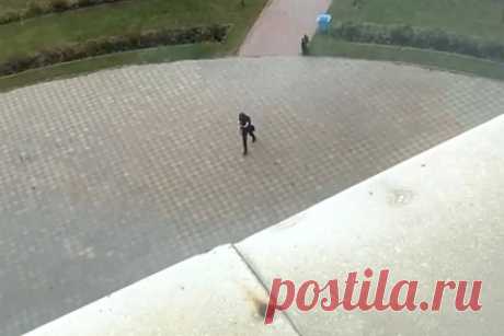 Пермский Минздрав назвал число пострадавших при стрельбе в университете. Свыше десяти человек пострадали в результате стрельбы в университете в Перми. Об этом сообщили в региональном Минздраве. В ведомстве рассказали, что в настоящее время на месте происшествия работают девять бригад скорой помощи. Ранения, по информации министерства, разные, так как ребята выпрыгивали из окон тоже.