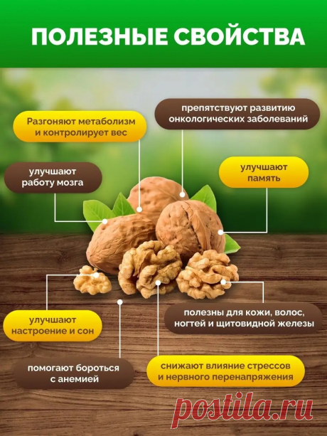 Полезные свойства грецких орехов