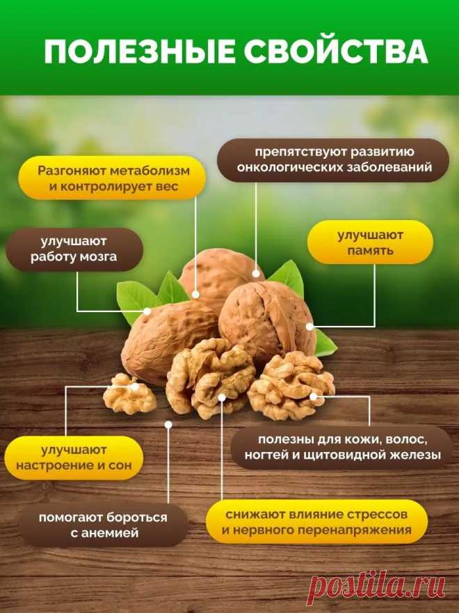 Полезные свойства грецких орехов