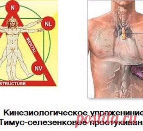 Тимус-селезенковое простукивание — кинезиологическое упражнение для поднятия иммунитета