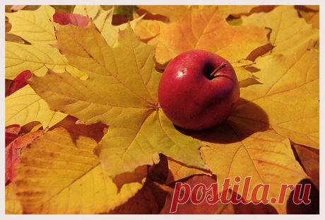 Обострение хронических заболеваний осенью
Хронические заболевания приносят немало хлопот пациентам, особенно если они находятся в стадии обострения. Наступить обострение может по многим причинам. Основными являются воздействие внешних факторов, неправильный уход за своим здоровьем, несоблюдение рекомендаций лечащего врача. Но часто происходит так, что хронические заболевания обостряются в осенний...
Читай дальше на сайте. Жми подробнее ➡