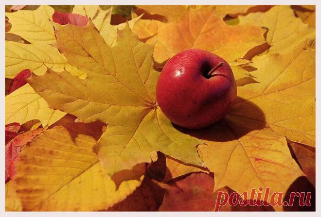 Обострение хронических заболеваний осенью
Хронические заболевания приносят немало хлопот пациентам, особенно если они находятся в стадии обострения. Наступить обострение может по многим причинам. Основными являются воздействие внешних факторов, неправильный уход за своим здоровьем, несоблюдение рекомендаций лечащего врача. Но часто происходит так, что хронические заболевания обостряются в осенний...
Читай дальше на сайте. Жми подробнее ➡