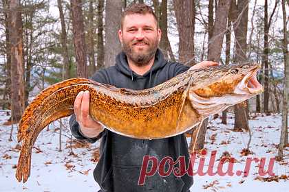 Рыболов поймал крупного налима и поставил рекорд. Американский рыболов поймал крупного морского налима и поставил рекорд штата Нью-Гэмпшир. Рекордная рыба попалась Райану Скотту Эшли, когда он рыбачил на озере Уиннипесоки. Ее вес составил 5,44 килограмма, а длина — 89 сантиметров. Эшли хочет, чтобы из его улова сделали чучело.