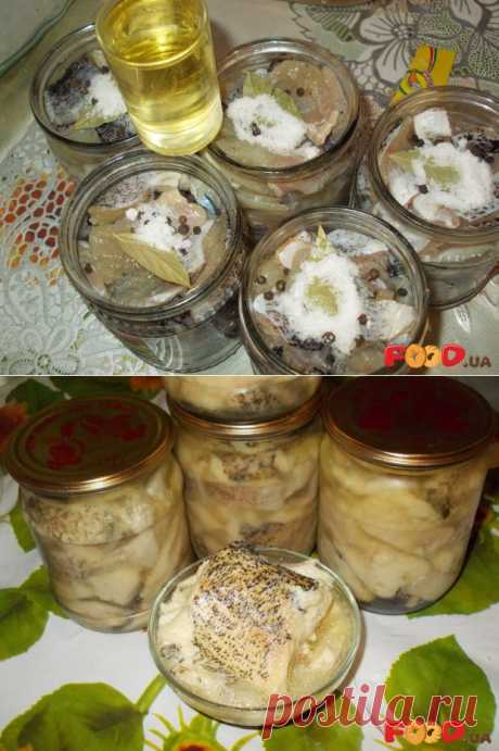 Рыбные консервы из щуки - Кулинарные рецепты на Food.ua