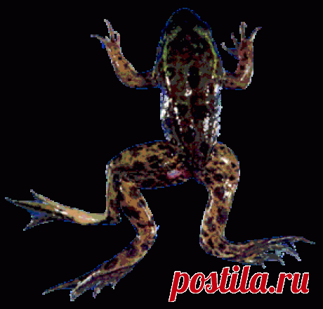 Ambiente. Informarsi = difendersi | Anilina