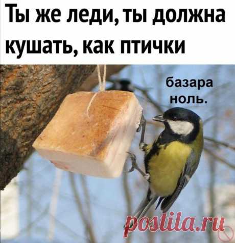 Облегчаю понедельник весёлыми картинками😁 | Альтер'Эго | Яндекс Дзен
