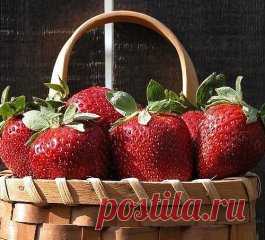 КЛУБНИЧНОЕ МЕСТО