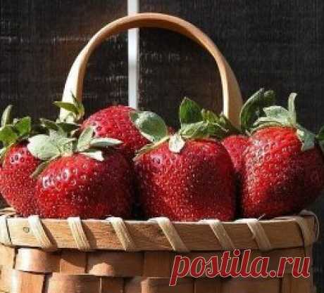 КЛУБНИЧНОЕ МЕСТО