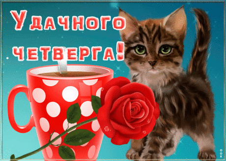 Открытка удачного четверга с котенком