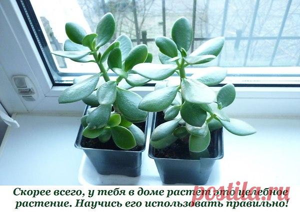 Интересные новости