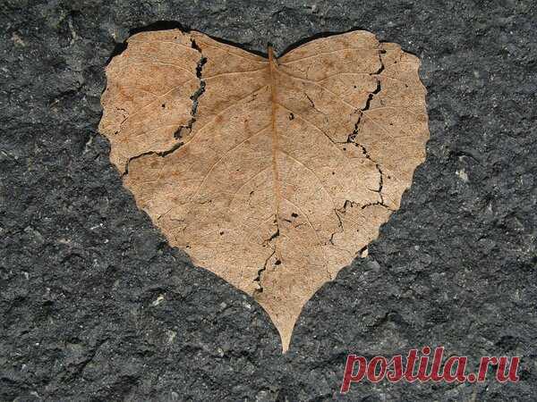 Я её потерял… | Отчаянная Домохозяйка | Яндекс Дзен