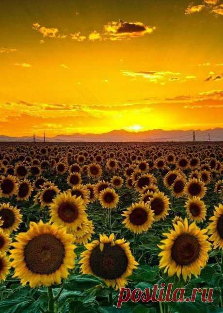 MARAVILLOSO MUNDO Radiante amanecer...