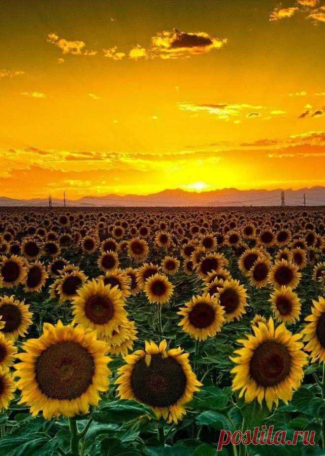 MARAVILLOSO MUNDO Radiante amanecer...